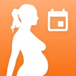 my pregnancy calculator android application logo